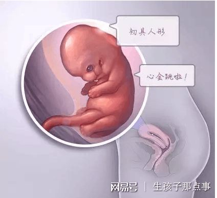 实验室3